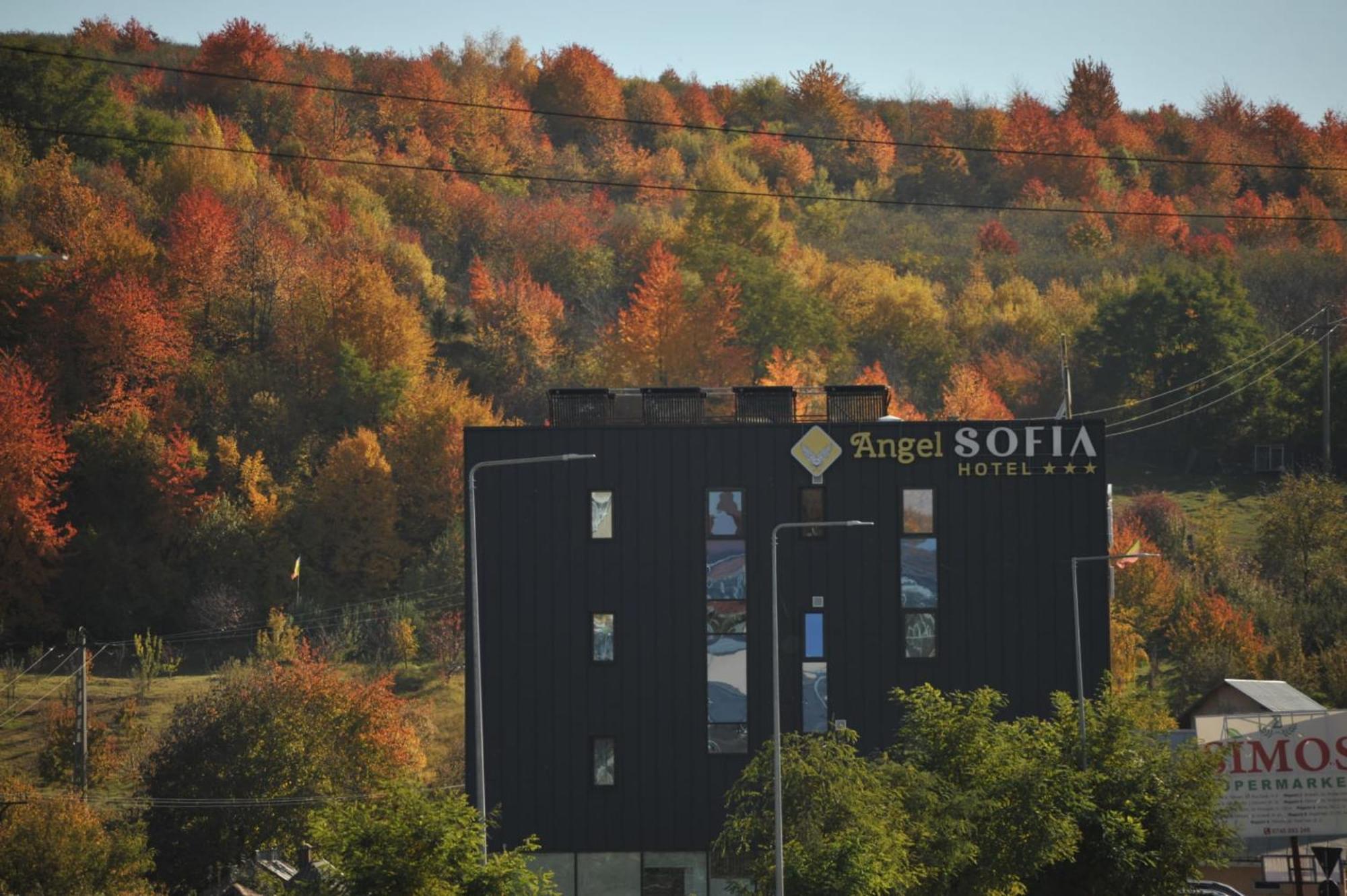 Hotel Angel Sofia Fălticeni Eksteriør bilde